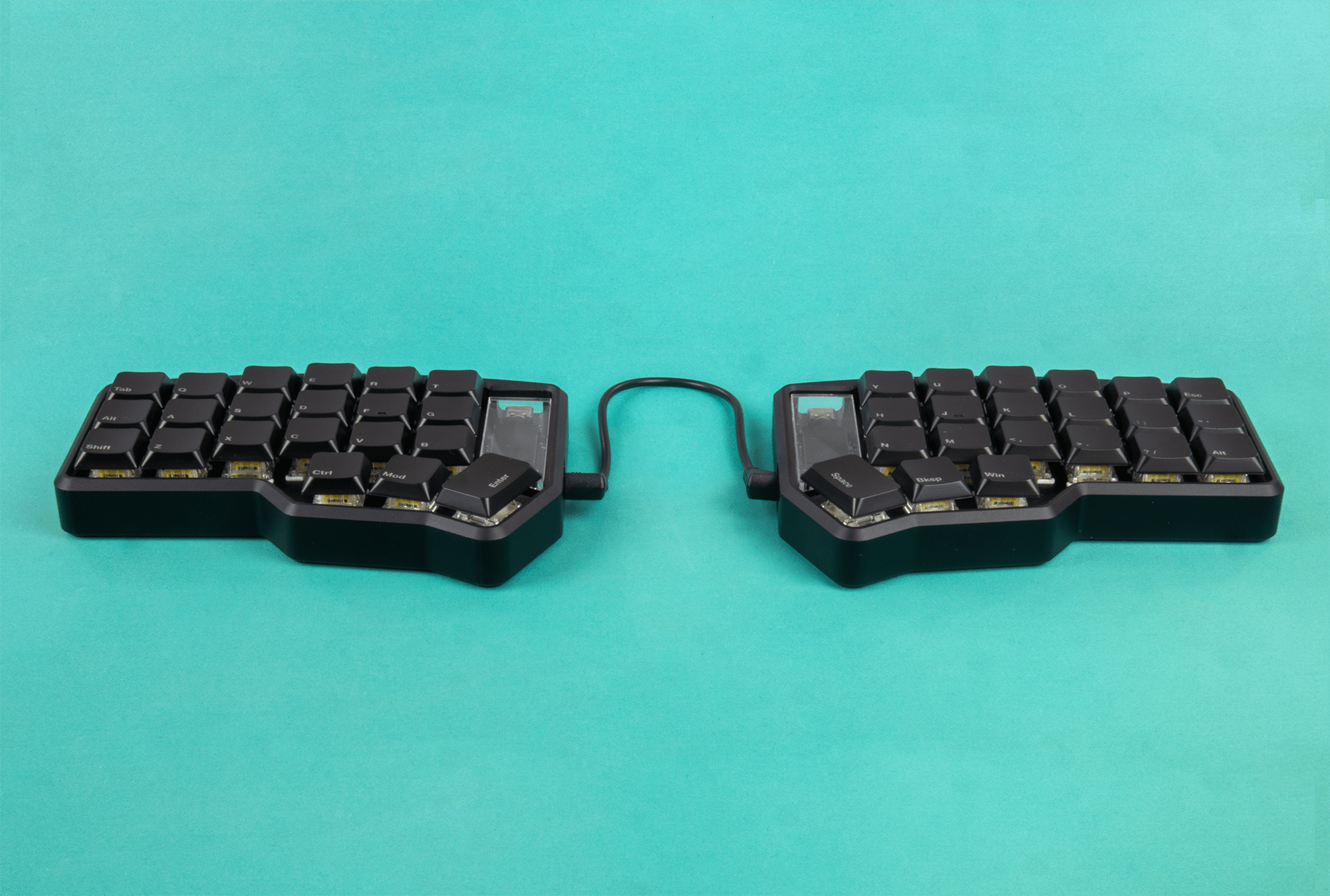 Corne Max - Preorder - Mechboards