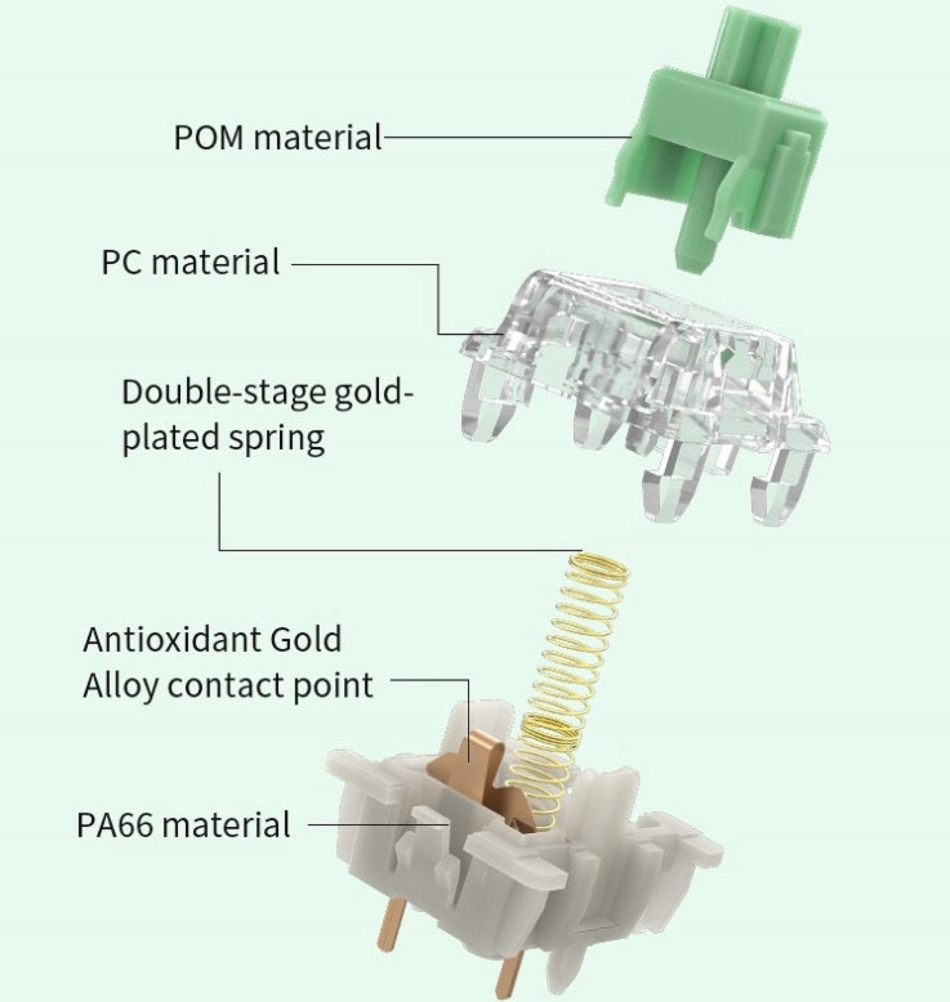 Gateron Baby Kangaroo - Mechboards